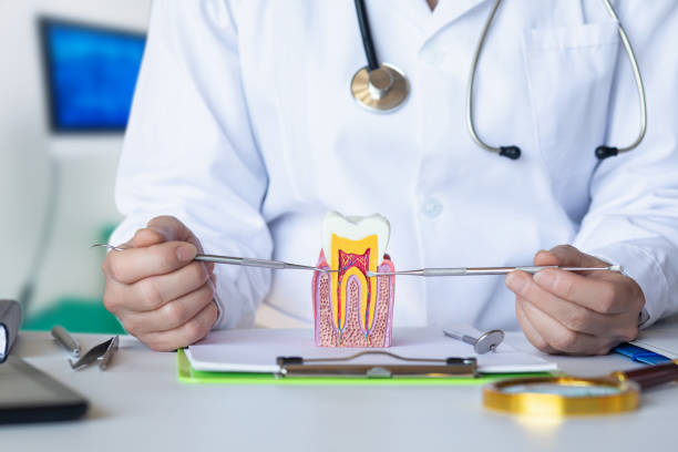 Best Dental Abscess Treatment in Olney, MD